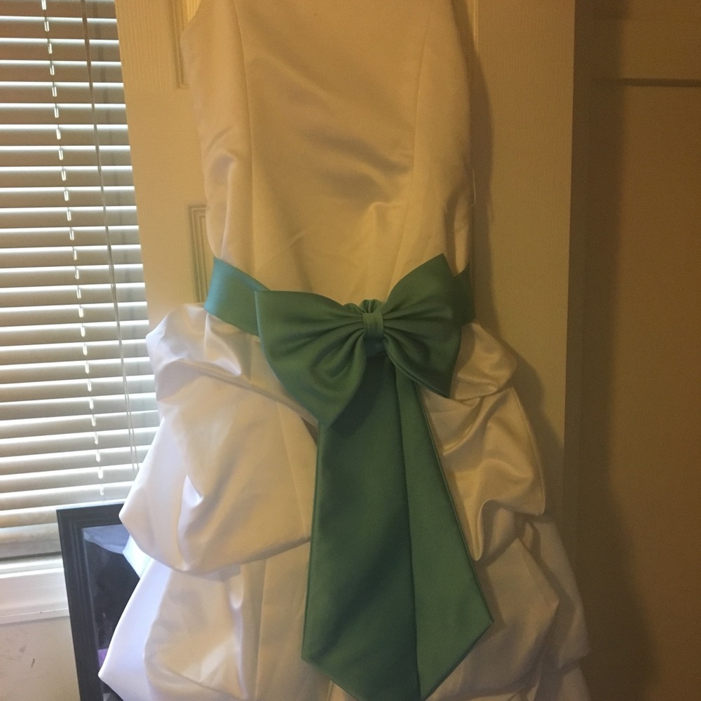 Beautiful David's Bridal Flower Girl Wedding Dress